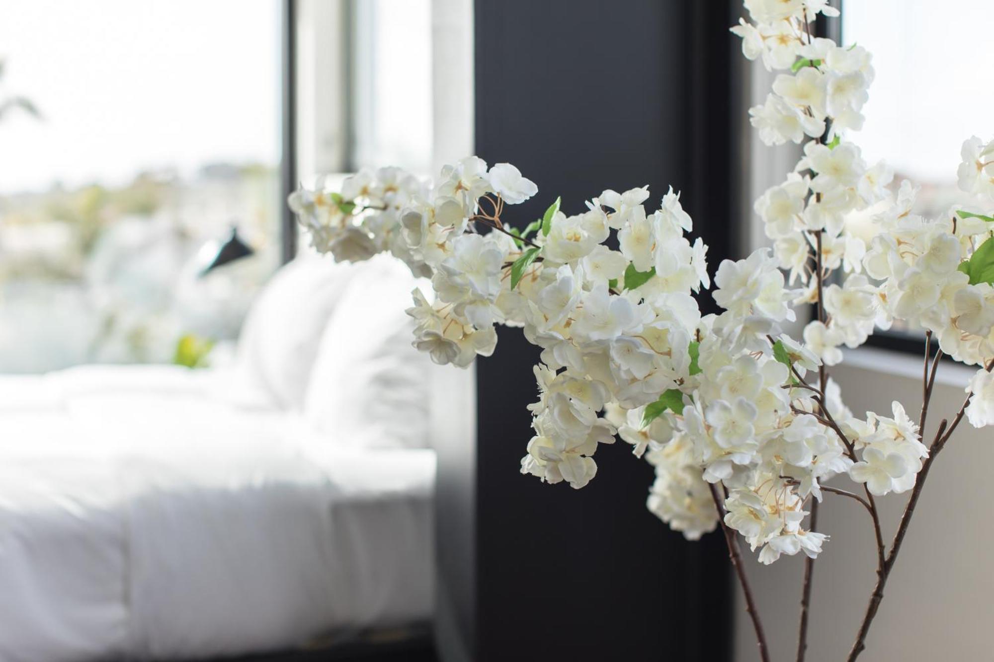 Hotel Abpopa Hillcrest San Diego Zewnętrze zdjęcie