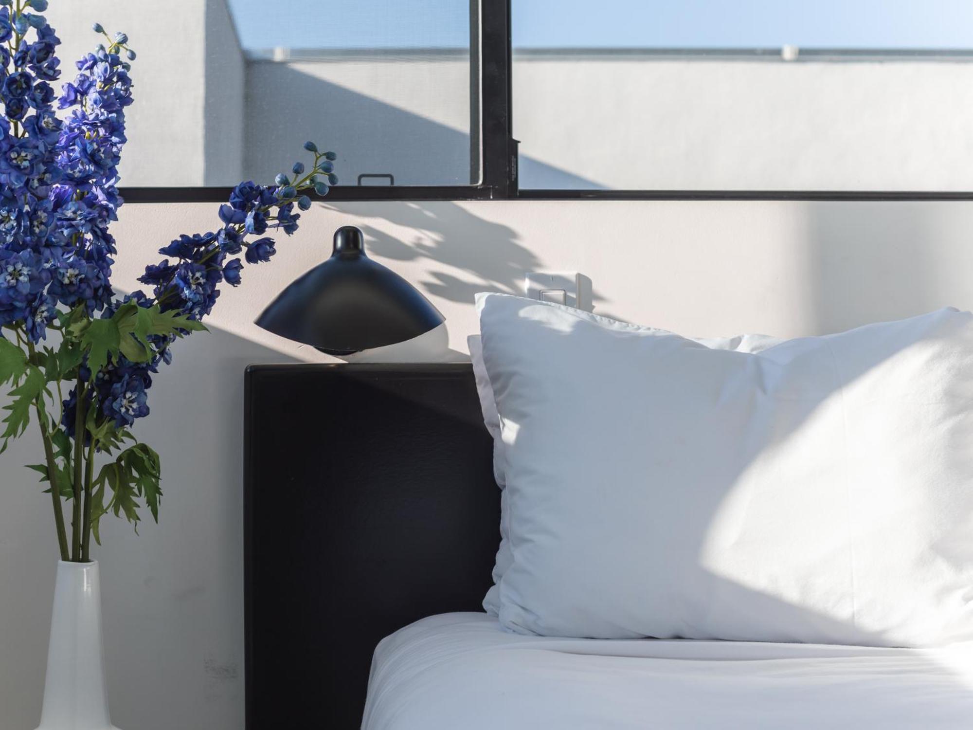 Hotel Abpopa Hillcrest San Diego Zewnętrze zdjęcie